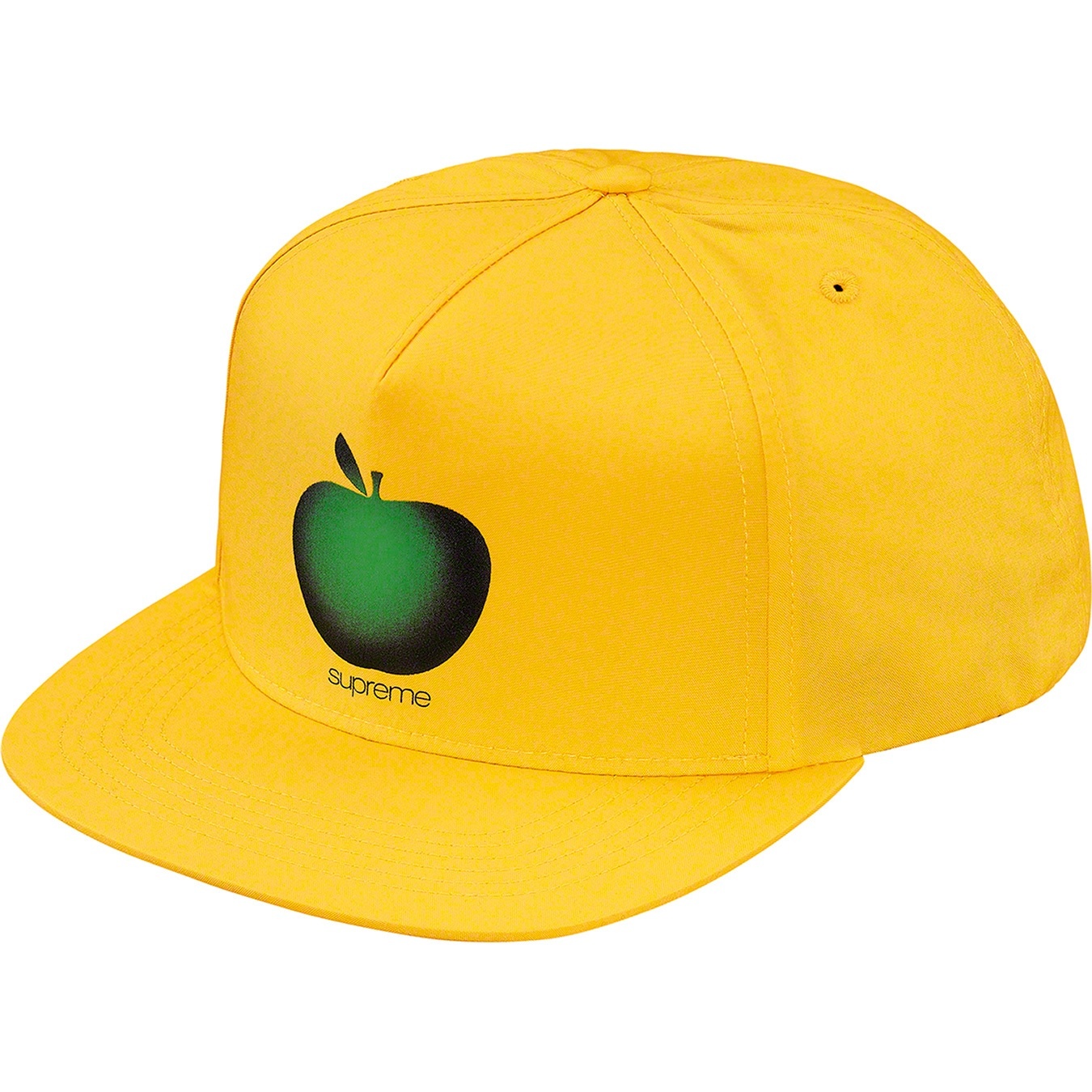 Apple 5-Panel view 2